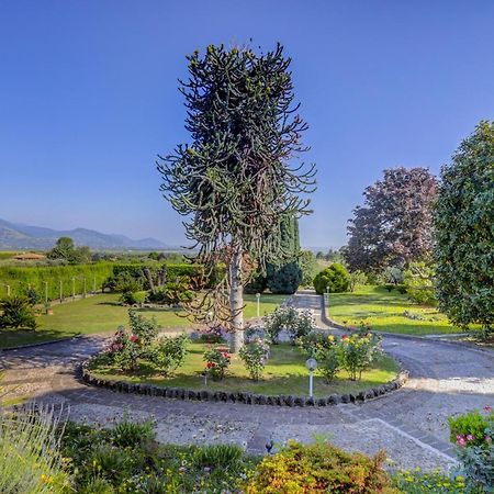 Villa Luce-Casa Vacanza Con Vista Panoramica Mare. Velletri Luaran gambar